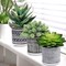 Set of 3 Small Potted Artificial Succulents – Faux Mini Succulent Arrangement in Black & White Geometric Concrete Pots for Modern Home, Office, Windowsill & Table Decor